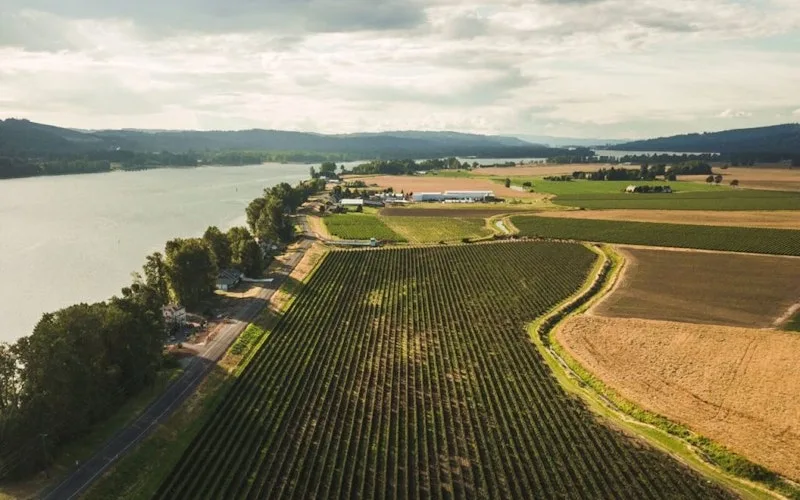 Columbia Fruit customer story